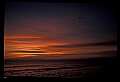 02500-00065-Florida Scenes.jpg