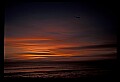 02500-00066-Florida Scenes.jpg