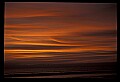 02500-00071-Florida Scenes.jpg
