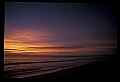 02500-00072-Florida Scenes.jpg