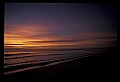 02500-00074-Florida Scenes.jpg