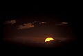02500-00077-Florida Scenes.jpg