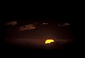 02500-00079-Florida Scenes.jpg