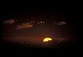 02500-00081-Florida Scenes.jpg