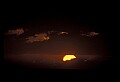 02500-00082-Florida Scenes.jpg