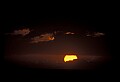 02500-00086-Florida Scenes.jpg