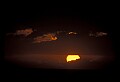 02500-00087-Florida Scenes.jpg