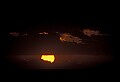 02500-00091-Florida Scenes.jpg