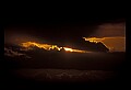 02500-00092-Florida Scenes.jpg