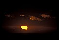 02500-00093-Florida Scenes.jpg