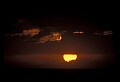 02500-00098-Florida Scenes.jpg
