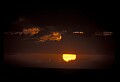 02500-00099-Florida Scenes.jpg