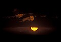 02500-00100-Florida Scenes.jpg