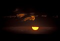 02500-00102-Florida Scenes.jpg