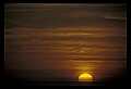 02500-00103-Florida Scenes.jpg