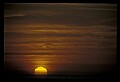 02500-00104-Florida Scenes.jpg