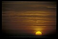 02500-00105-Florida Scenes.jpg