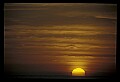 02500-00106-Florida Scenes.jpg