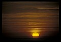 02500-00107-Florida Scenes.jpg