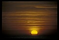 02500-00108-Florida Scenes.jpg