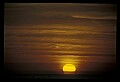 02500-00109-Florida Scenes.jpg