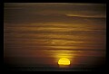 02500-00110-Florida Scenes.jpg