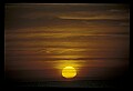 02500-00111-Florida Scenes.jpg