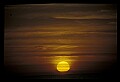 02500-00113-Florida Scenes.jpg