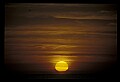 02500-00114-Florida Scenes.jpg