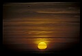 02500-00115-Florida Scenes.jpg