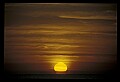 02500-00116-Florida Scenes.jpg