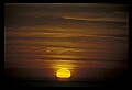02500-00118-Florida Scenes.jpg