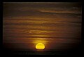 02500-00119-Florida Scenes.jpg