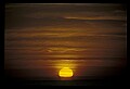 02500-00120-Florida Scenes.jpg