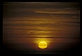 02500-00121-Florida Scenes.jpg