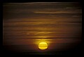 02500-00123-Florida Scenes.jpg