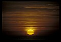 02500-00124-Florida Scenes.jpg