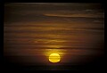 02500-00125-Florida Scenes.jpg