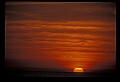 02500-00127-Florida Scenes.jpg