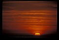 02500-00128-Florida Scenes.jpg