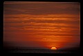 02500-00129-Florida Scenes.jpg