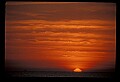 02500-00130-Florida Scenes.jpg