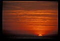 02500-00131-Florida Scenes.jpg