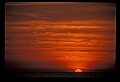 02500-00132-Florida Scenes.jpg