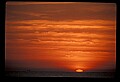 02500-00133-Florida Scenes.jpg