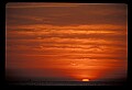 02500-00134-Florida Scenes.jpg