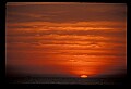 02500-00135-Florida Scenes.jpg