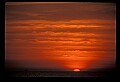 02500-00136-Florida Scenes.jpg