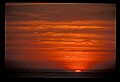 02500-00137-Florida Scenes.jpg