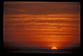 02500-00139-Florida Scenes.jpg